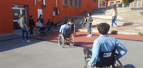 Taller de Discapacitat o capacitat diverses